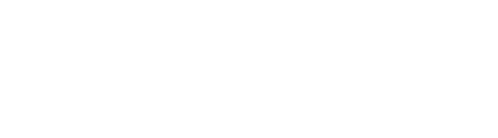 Deily Moving & Storage Main Logo White